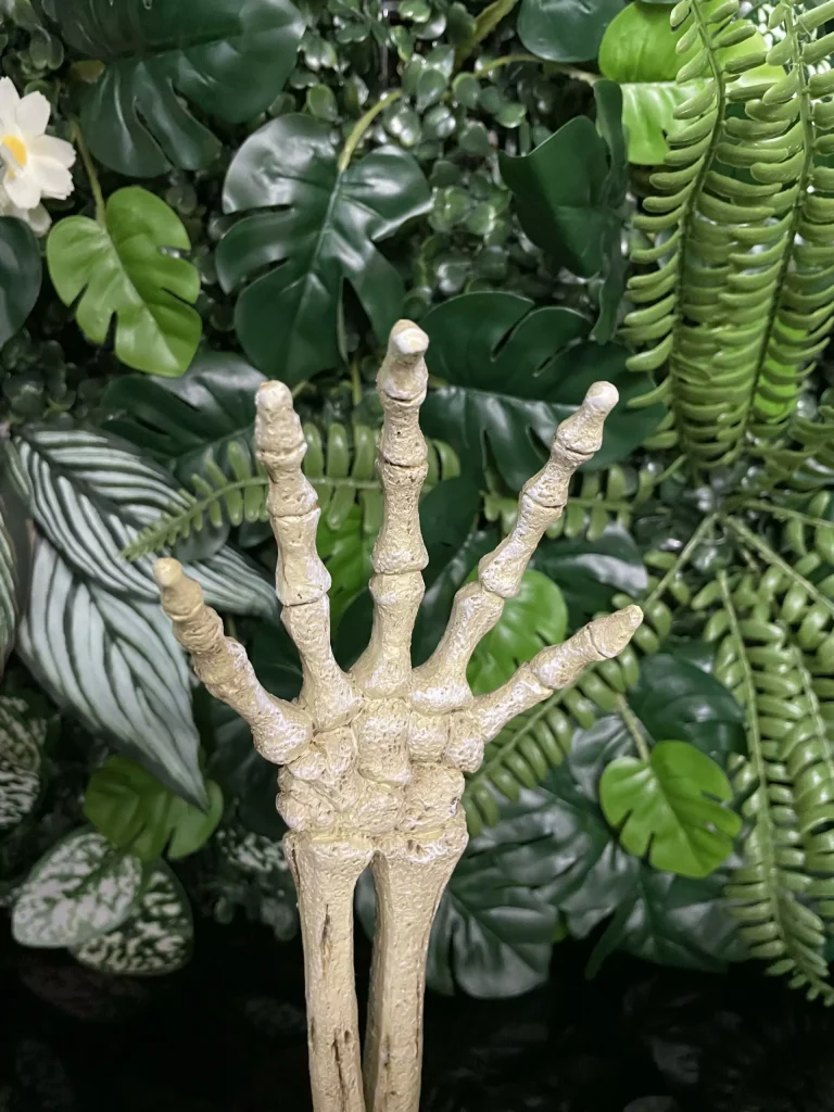hand