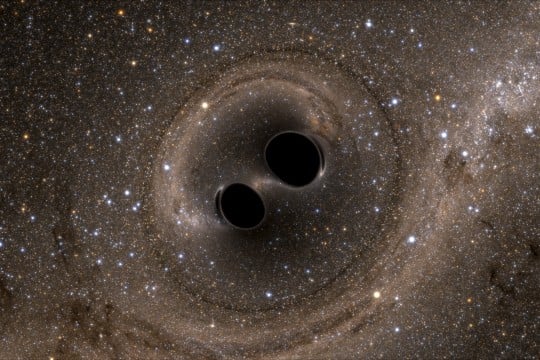 Black Holes