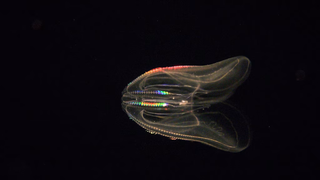 bioluminescent-animals