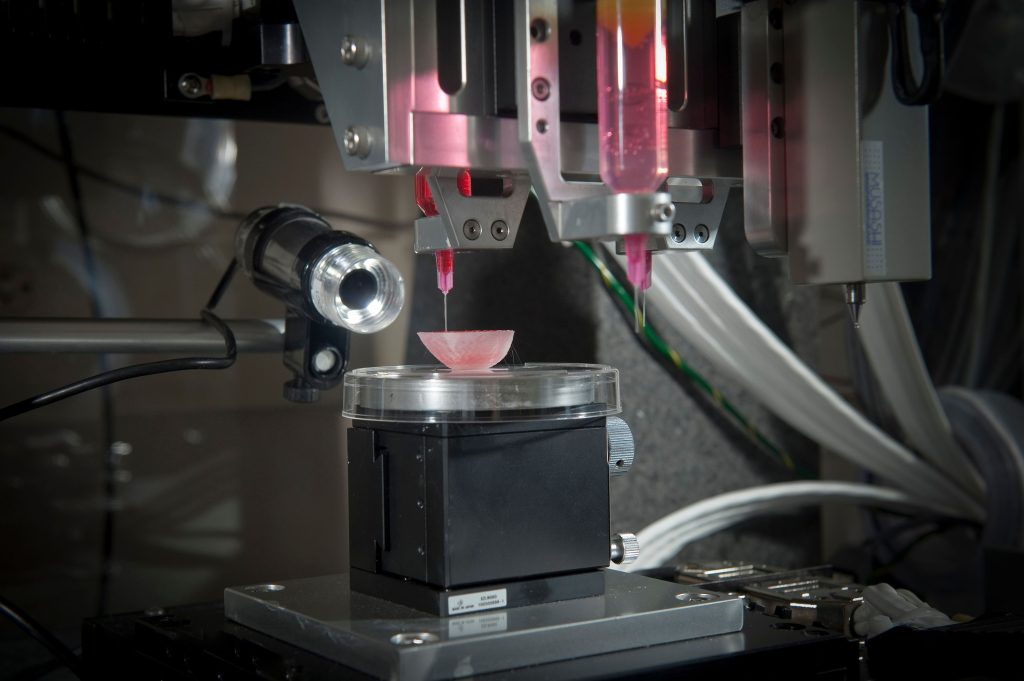 Lab-Grown Organ